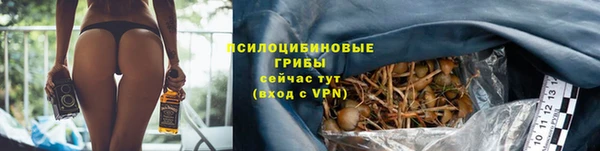 стаф Козельск