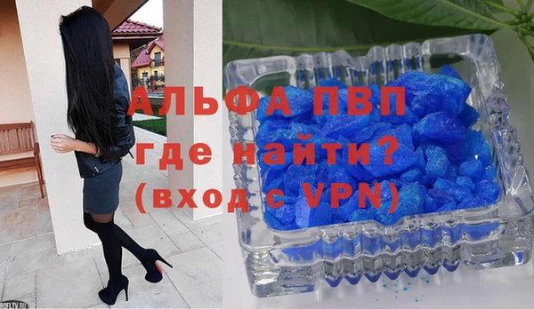 стаф Козельск