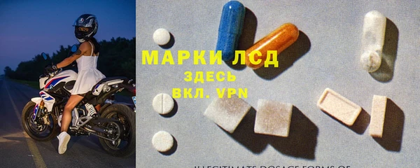 стаф Козельск